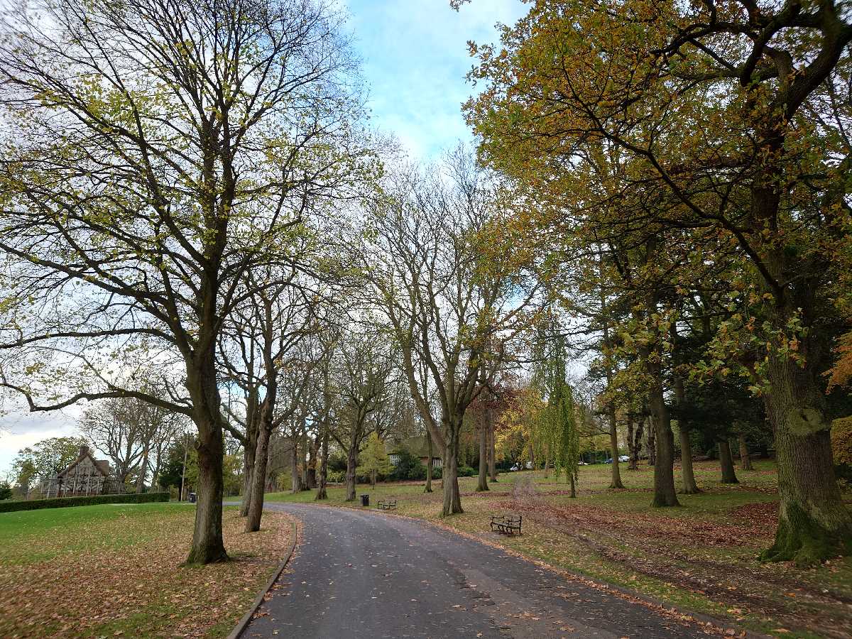 Autumnal path at Cannon Hill Park - 8th November 2022